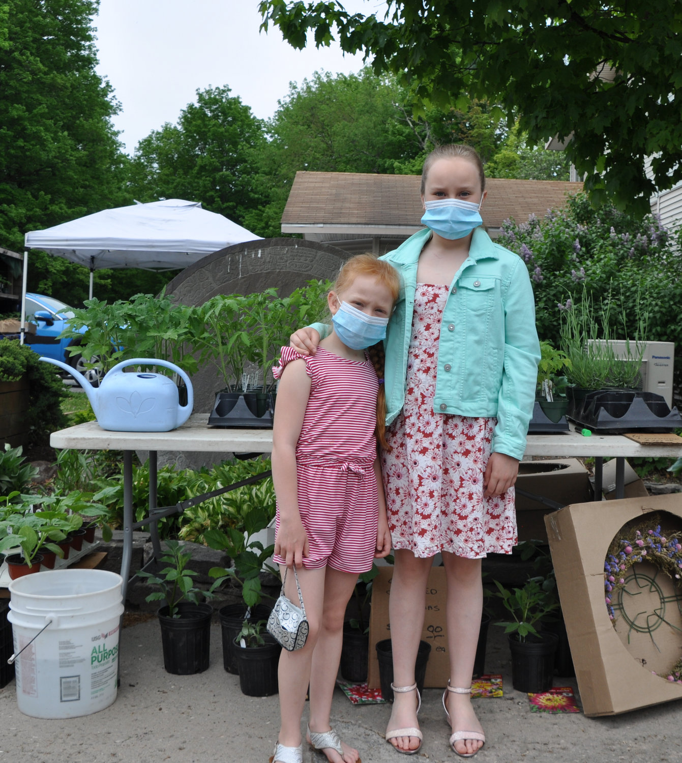Little Eva, 8, and her sister, Elena, 10, love dahlias but couldn't tell me anything about cockle shells when I asked. I snapped this pic of them at the Livingston manor Flower Day last weekend.